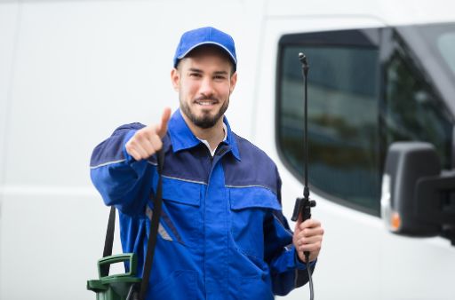 Dératisation à Serris par PVFS : Lutte efficace contre divers rongeurs